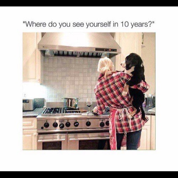 Meet your Posher, Samantha - Picture 4 of 8